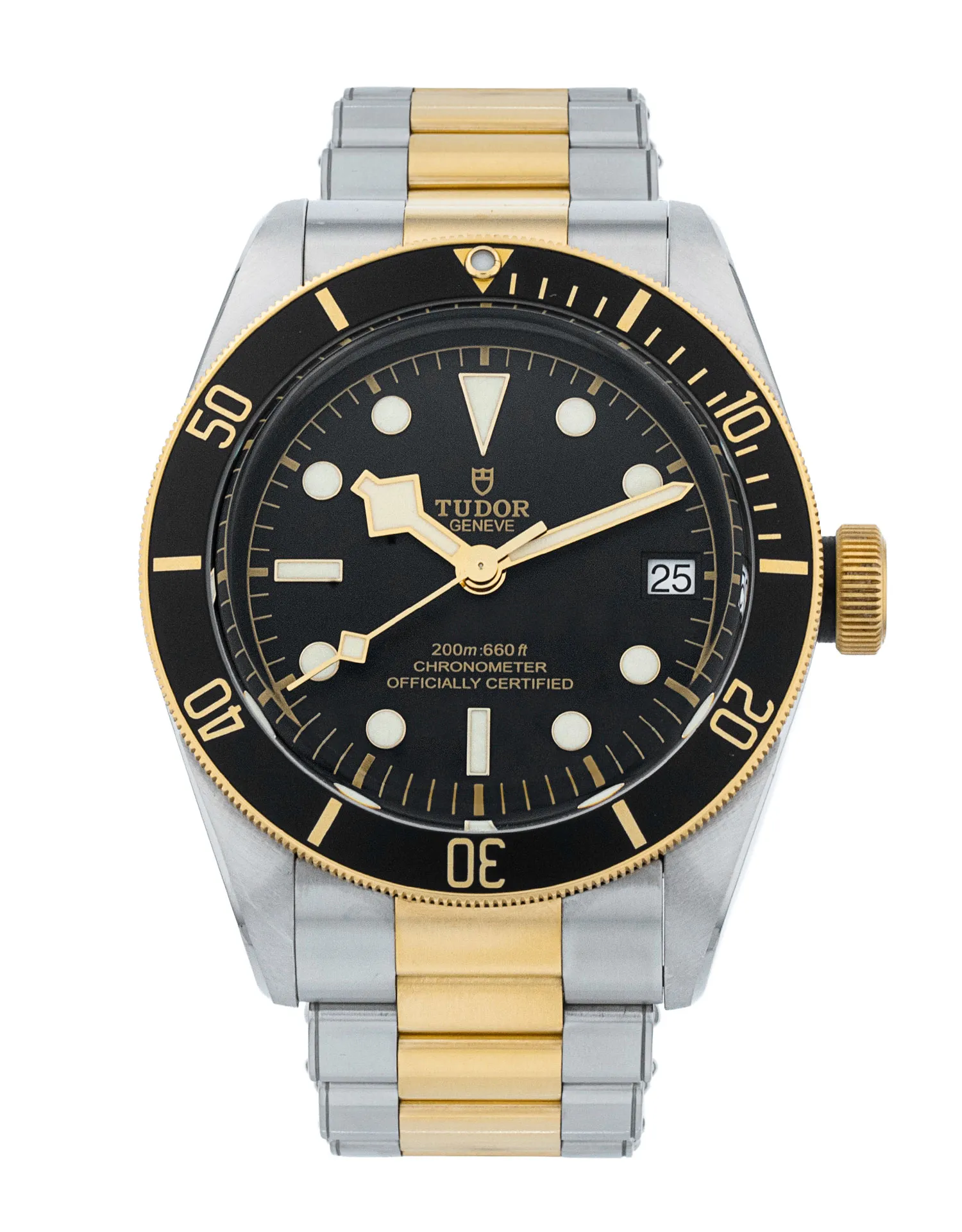 Tudor Black Bay M79733N-0008 420315